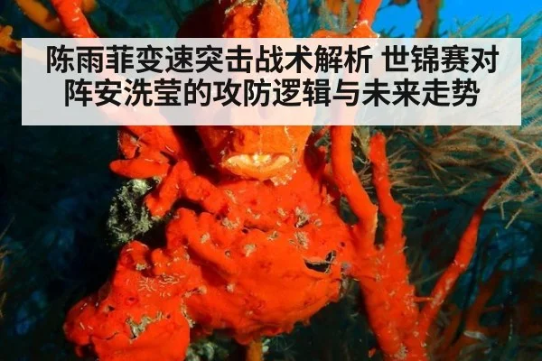陈雨菲变速突击战术解析 世锦赛对阵安洗莹的攻防逻辑与未来走势